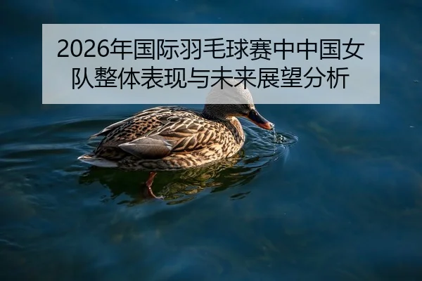 2026年国际羽毛球赛中中国女队整体表现与未来展望分析